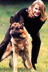 Steffi besitzt 4 Hunde